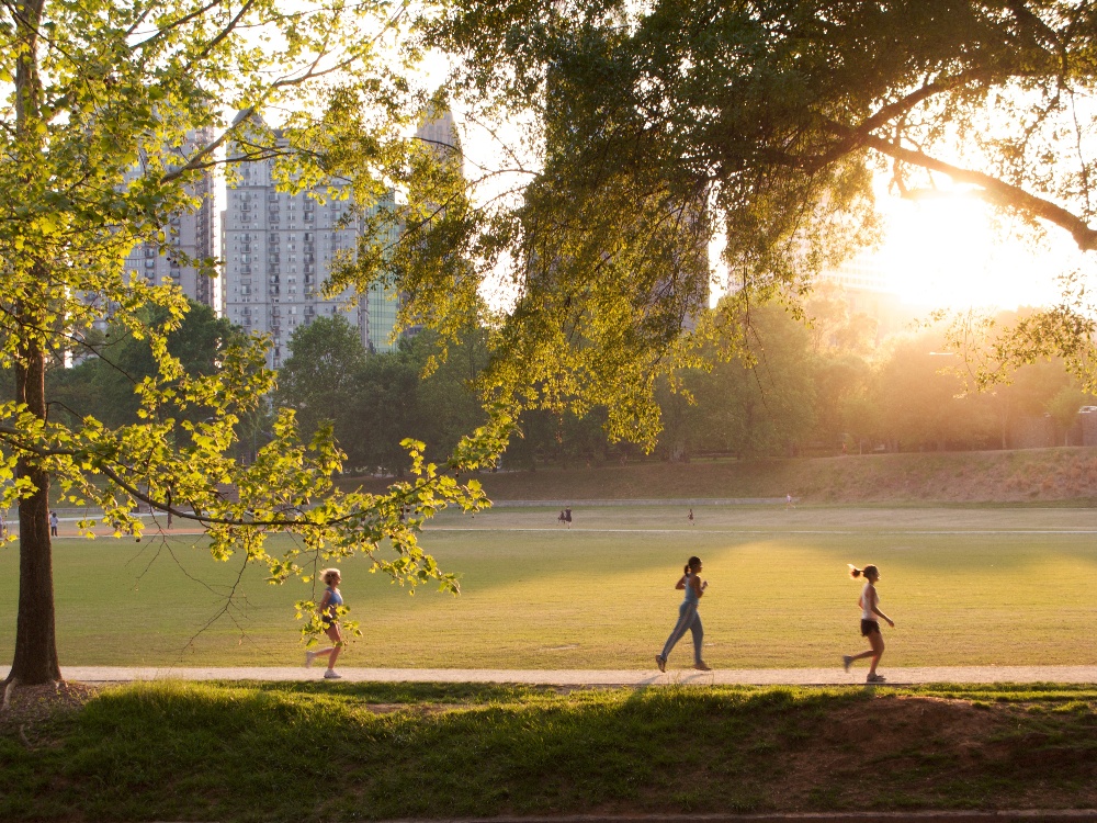 ATL - homepage - Piedmont Park in Atlanta, Georgia